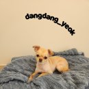 송내동3 이미지