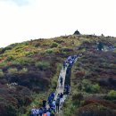 설봉농장 이미지