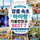조양카3급부분정비 | 강릉·속초 아이랑 가볼만한곳 BEST 7 (2026년 최신) – 유모차 가능한 실내·아기 동반 여행지 총정리