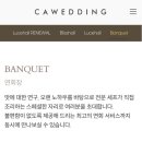 [실제 고객 후기] CA웨딩홀당일계약 후기💍 직접 경험한 웨딩홀 선택의 결정적 순간