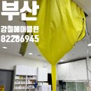 중부동물병원약품 | 부산 두구동 에어컨 청소 반려동물 병원 털·곰팡이 제거, 형제가 직접 시공
