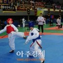 꿈나무 태권도 이미지
