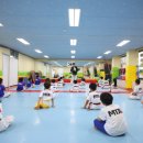 MTA 태권도 이미지