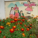 남대구초등학교 이미지