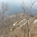 곱창길
