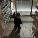 삼계어린이집 | 친구네 공동육아👼🏻 • 런던베이글뮤지엄🥯 • 첫 눈 ☃️ • 첫 크리스마스트리🎄 • 19주차 경산맘 입성.ᐟ...