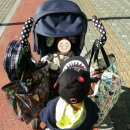 쥬니어세상어린이집 이미지