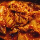 사우스사계 이미지