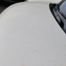 운양동손세차장 이미지