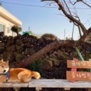 굿나잇 민박 이미지