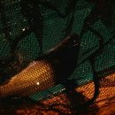 평촌낚시터 이미지