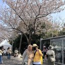 대륜동-2 이미지