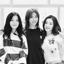 김완선 카카오 검색결과