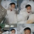 루시초이스