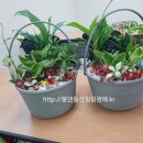 예천힐링센타 이미지