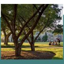 (주)세인트메디칼 이미지