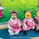 딩동댕 플레이 키즈스쿨(8~14개월) 이미지