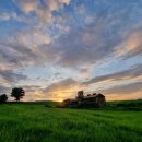 이&장 목장 이미지