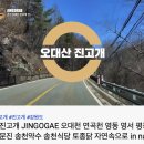 우리아빠기 직접여행한 자연속으로 오대산 진고개 오대산 진고개 JINGOGAE 오대천 연곡천 영동 영서 평창진부 강릉 주문진 송천약수 이미지