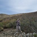 영남카정비 | 밀양 케이블카 타고 천황산(사자봉), 천황재 등산 후기