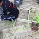 레몬비 곽지해변점 이미지