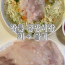 한신회센타 | 강릉여행 중앙시장 회 물회 한신회센터 내돈내산 포장후기