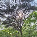 외솔목장 이미지