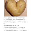 애월전당포