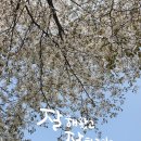 플러스펜수채화 이미지