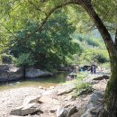 무릉도원 캠핑장 이미지