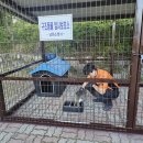 남원소방서 이미지