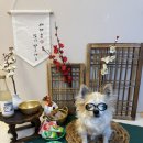 몽구네 애견유치원 이미지