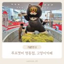 고양이카페 루프캣미 명동점 이미지