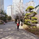 서울원촌초등학교 이미지