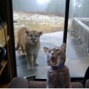 한강진역 이미지