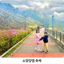 K-water 소양강댐지사 | 춘천 4월 가볼만한 곳 소양강댐 정상 전망대까지 용너미길 축제