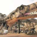 해든스테이 이미지