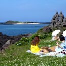 제주의 이유 이미지