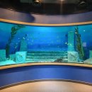 도심속바다 이미지