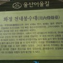 울산 염포산-대왕암 산행결과 이미지