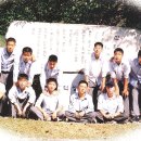 신탄중앙중학교 이미지