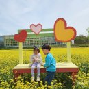 천문대 쓰레기매립장 복자기 가로수 | 충청도 아이와 가볼만한곳