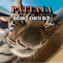 중동038 | 파타야여행 타이거파크 할인쿠폰 + 마이리얼트립 2월 할인코드 할인쿠폰