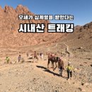 산들아투어