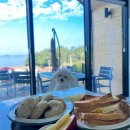 굿나잇도그 이미지