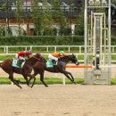 (주)디알엠 이미지