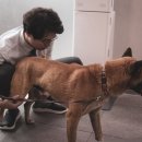 더 가까운 동물병원 이미지