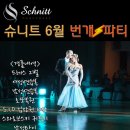 슈니트 이미지