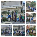 대연5동위원회 5색찬란 꽃길 가꾸기 사업 이미지