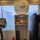 스포니스 약수점 | 약수역 헬스장 어깨 재활에 효과가 컸던 스포니스 약수점
